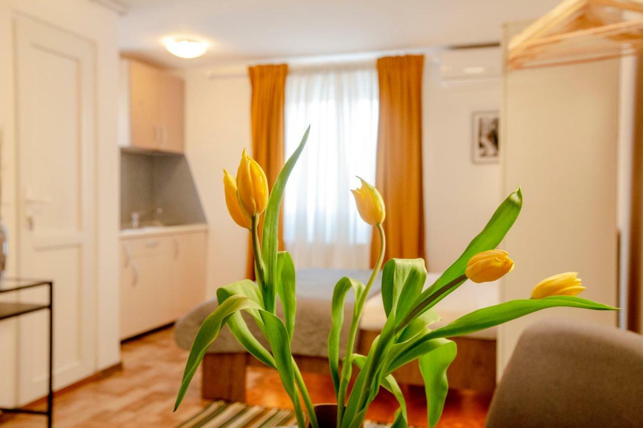 Color Apartments Downtown Bukareszt Zewnętrze zdjęcie